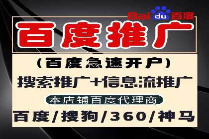 百度竞价推广成功案例解析